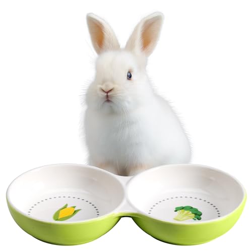Navaris Ciotola Doppia Ceramica - Ciotole per Cani e Gatti Cuccioli - Adatta a Conigli e Porcellini d'india - per Animali di Piccole Dimensioni - Set Cibo e Acqua - Verde