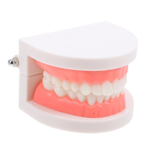 Modelo Oral Porta Para Niños Herramientas De Miofuncional Del Habla Tapa De Diente Portadientes Para Recuerdo De Niños Empaste El Plastico iplusmile