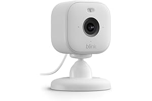 Blink Mini 2: Enhanced Security Camera for Your Canine Companions