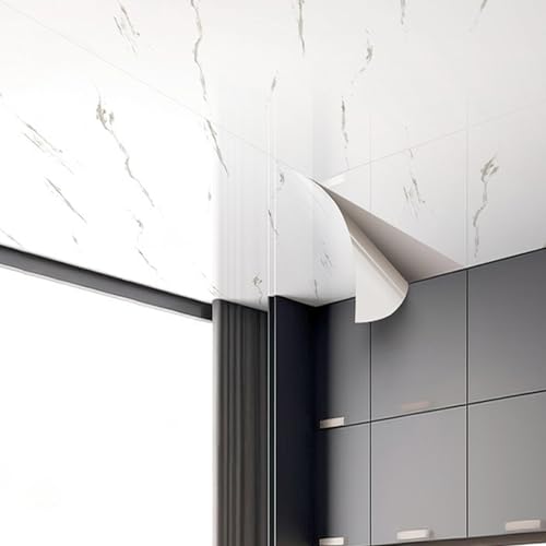 Zeihyeurus Piastrelle per soffitto in PVC Decorativo,Soffitti Rivestimento,Pannelli per Controsoffitto,PVC Decorativo Piastrelle,A Prova di umidità,per Camera da Letto,Soggiorno,Bagno,Cucina
