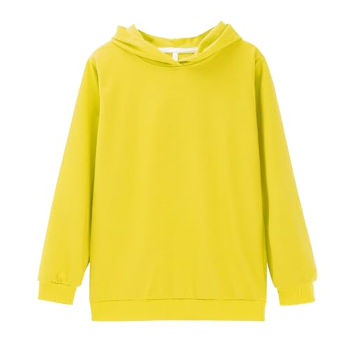 Boys Girls 2 Pieces Athletic Sweatsuit Casual Sweatshirts and Pants Long Sleeve Pullover Outfits Fall Winter Clothing Sets3