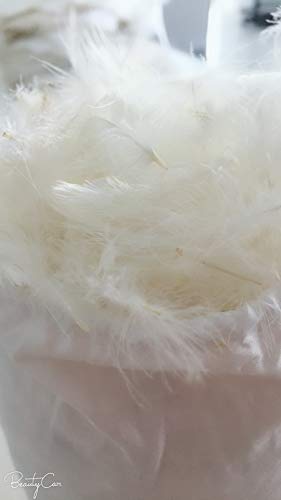 image for February Snow Bulk Goose Feather/Down Filling,100% Natural White Down-