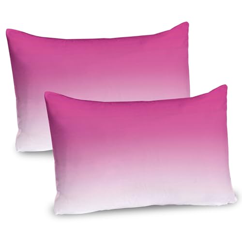 Ambesonne Ombre Pillow Sham Set of 2, Hot Pink Candy and Cream Girly Elements Inspired Ombre Digital Design Art Print Modern, Quality Microfiber Bedding Item for All Seasons, 26