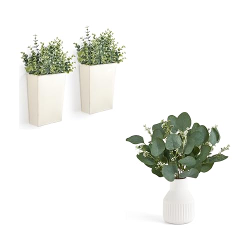 Dahey 2 Packs Metal Wall Planter and Artificial Eucalyptus Stems