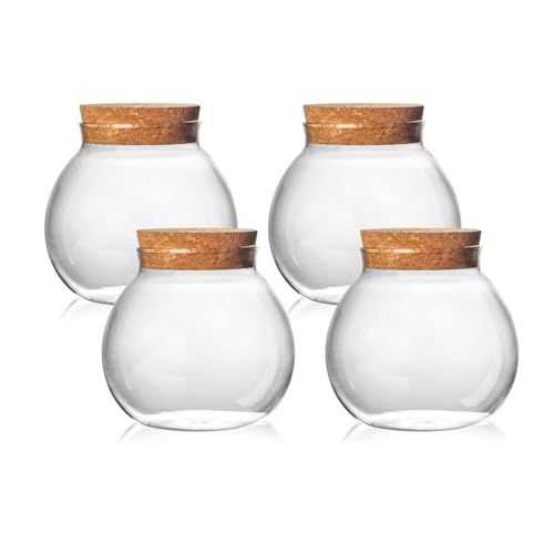 Aurfedes Set of 4 round glass jars with cork lid