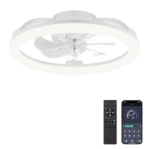 Ventilateur plafond avec lampe télécommande et commande APP silencieux