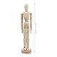Dibotell Gliederpuppe,Gliederpuppe Holz,Künstlerpuppe zum Zeichnen,Männlich aus Holz,Flexibler Mannequin,Zeichenpuppe aus Holz, Holzfigur, Holzpuppe (30CM)