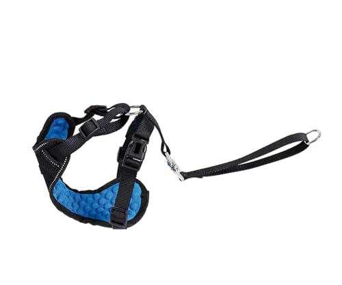 Record Kit Pettorina Auto per Cani L