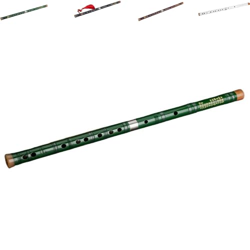 SJGEIDM|t[g Jq Jڔ ؊Ǌy ~[WJ `IȎ菉SґlwCD`[vtFbVir^[|J/VOzCgEF`[|/ (EL[,O[)