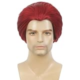 Tseses Short Red Wigs for Men Fluffy Straight Synthetic Man Male Hair Wig Anime Cosplay Party Costume Wig（Red