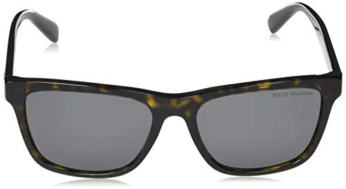 Polo Ralph Lauren Men's PH4167 Square Sunglasses, Shiny Dark Havana/Polarized Grey, 56 mm2