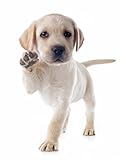 Pet Relax Spray 100ml