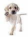 Pet Relax Spray 100ml