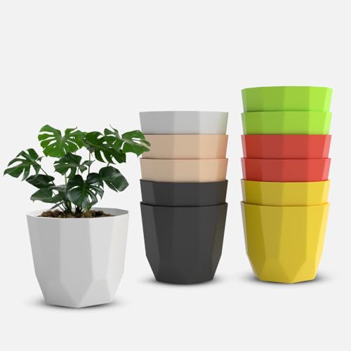 Image of YUCCABE ITALIA SHERA Hexa Plastic Planter Pot for Plants | Decorative Flower Pot | UV Protected Lightweight Indoor Outdoor Gamla for Home Decor, Balcony, Garden & Living Room