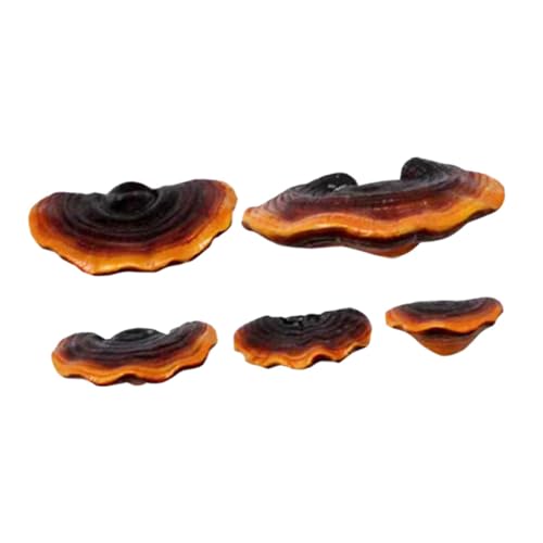 SUPVOX Décors De Champignons Ganoderma Lucidum en Résine 9.20X6.20X3.60 Pouces Lot De 5 Ornements Réalistes pour Jardin Extérieur Et Décoration De Sapin...