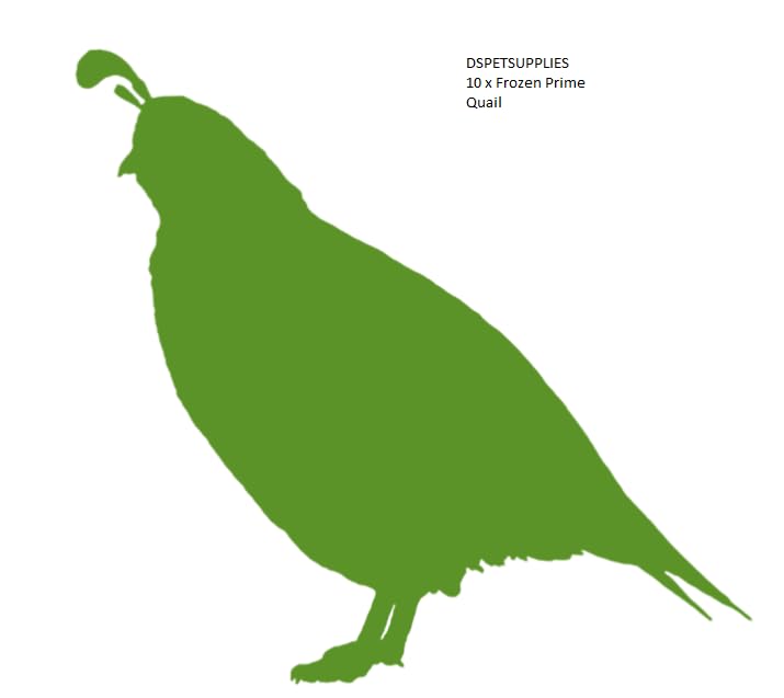 DSPetSupplies Frozen Prime Quail 10 Pack (Large 150g+) Reptile Food