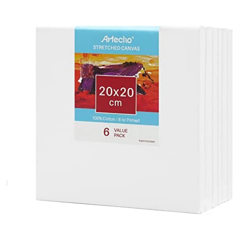 Artecho Leinwand zum Bemalen 6 Stück 20x20cm Cover
