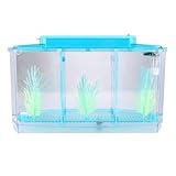 Xiuganpo Aquario Pequeño, Pecera, Luz Ajustable Acrílico Transparente para Peces Pequeños Betta (Blue)