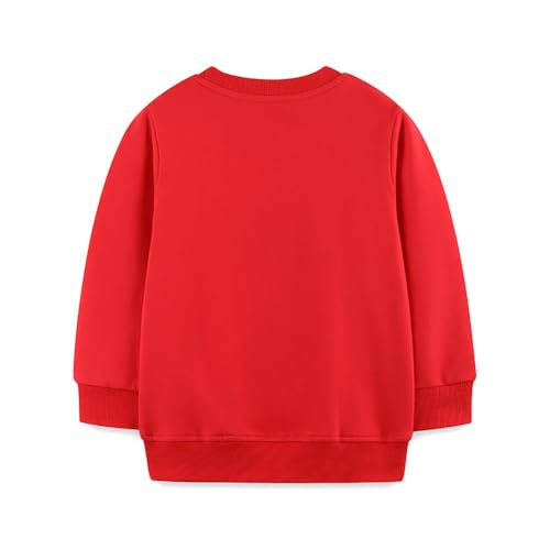 Boys Sweatshirts Casual Sweatshirts Cotton Sweatshirts Long Sleeve T-shirts Crew Neck Cartoon Tops for Boys-2462
