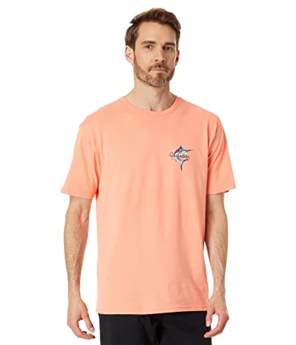 Quiksilver Beauty at Sea Short Sleeve Tee Peach Pink SM2
