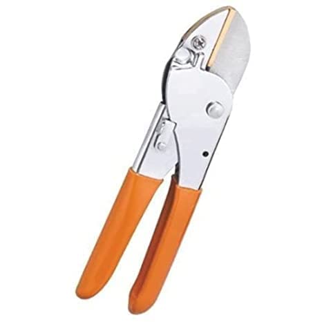 B K Jagan & CO Gardening Tool Pruning Secateur Flower and Leaf Cutter for Plants (B09RGLPKPB) Amazon Price History, Amazon Price Tracker