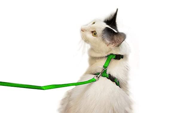 RvPaws Adjustable Cat Walking Harness Nylon Strap Collar with Leash Cat Leash and Harness Set Escape Proof Cat Walking Harness Nylon Strap Collar with Leash - Pack 1 (Green Color) (B09NSSFWB4) Amazon Price History, Amazon Price Tracker