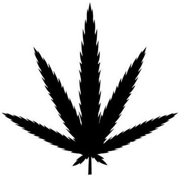 Sticker World 4 U D007 - Adesivo con foglie di