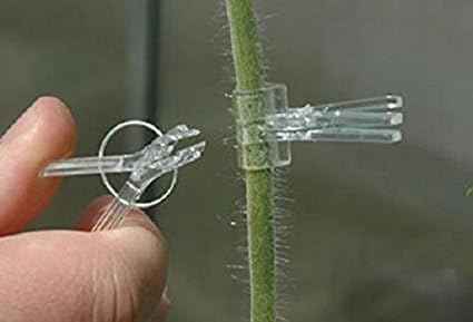 Siddhi PLANT FRUIT & VEGETABLE, SILICON TUBE FOR GRAFTING Spring Loaded Tomato Plant Grafting Clip (Clear)-Pack of (200) (B0CF26VDT8) Amazon Price History, Amazon Price Tracker