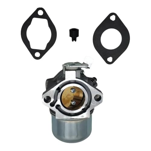 Carburateur tondeuse pour modèles 497581 495782 et 698171