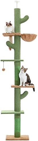 PAWZ Road Árbol de cactus para gatos de piso a techo, torre para ...