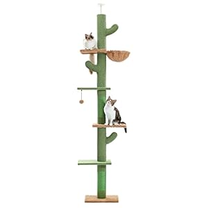 PAWZ Road Kaktus Kratzbaum Katzenturm
