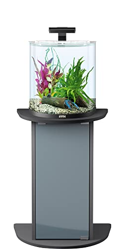 Tetra Explorer Line 30 L Aquarium Komplett-Set - Design Aquarium mit gebogener Frontscheibe, LED-Beleuchtung, Technik, Futter und Pflegemitteln, Farbe: Schwarz