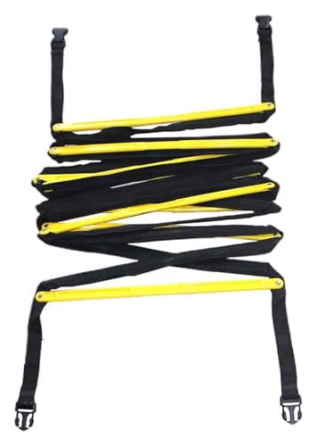 g[jO_[, _[g[jO, Xs[hƕqg[jOZbgÂ݂郉_[AR[tTbJ[p(5.1M)