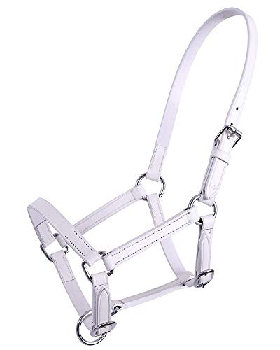 Cabestro de piel para potro QHP Chico accesorio hípica