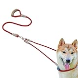 Hundeleine für mittelgroße Hunde, doppelköpfiges Robustes Kabel, 1,2 m Lange Hundeleine mit komfortablem Griff, für mittelgroße und große Haustiere, Welpen, Outdoor, Wandern, Joggen, Training,