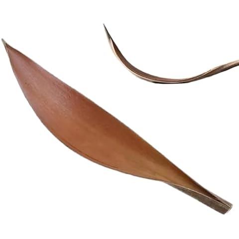 Feuilles de Cacao Dreuhuing Cover