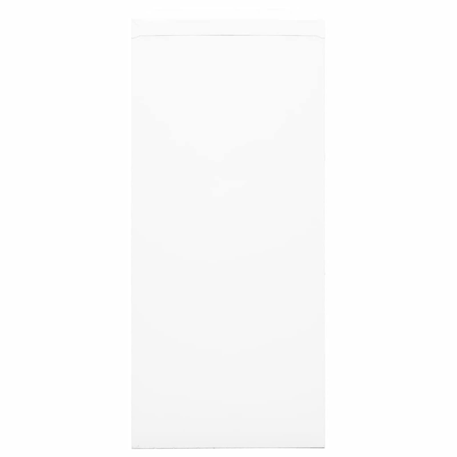 Festnight armoire Bureau Porte Coulissante Métallique Verrouillable Blanc