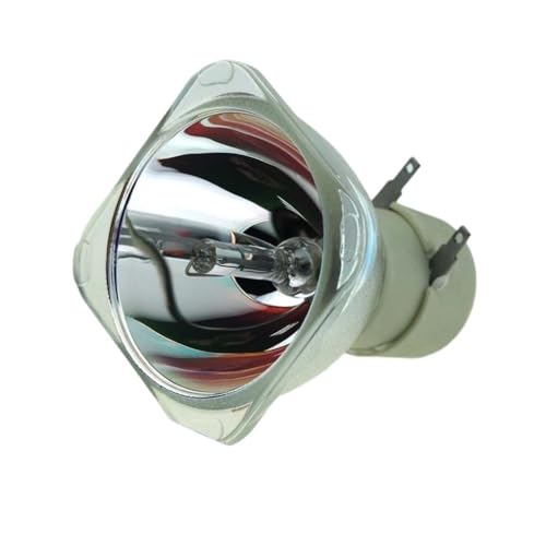 Pièce de rechange projecteur FU190D pour Optoma W305ST X305ST