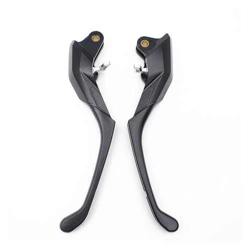 Manijas control frontal embrague y palanca de freno BMW R1300GS 3