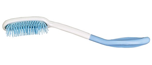 Long Handled Brush