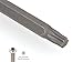 TEKTON 3/8 Inch Drive Long Torx Bit Socket Set, 12-Piece (T10-T60) | SHB91305