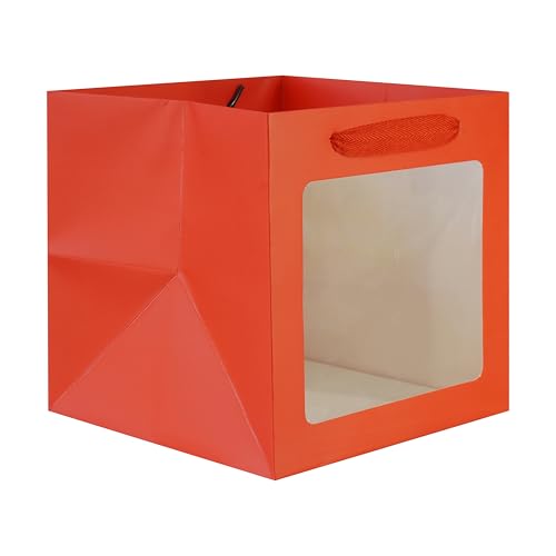 Sac cadeau carré rouge avec fenêtre transparente Lot de 12 pièces 15x15 cm LFCXHTY