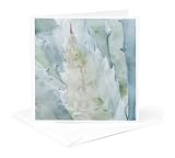 3dRose Arizona, Pima County. Sonoran Desert with snow 1 Greeting Card with envelope
