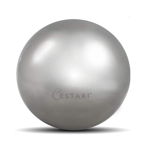 Whiskey Ball - Reusable Stainless Steel Ice Sphere - Scotch,Vodka,Wine Ice Chiller Stocking Stuffer - Ice Cube Metal Whiskey Stones Ball Won't Dilute Your Drink - Whiskey Drink Coolers Gift - 55mm