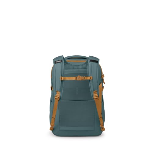 Image of Daylite Carry-On Travel Pack 35L - Carry-On Backpack