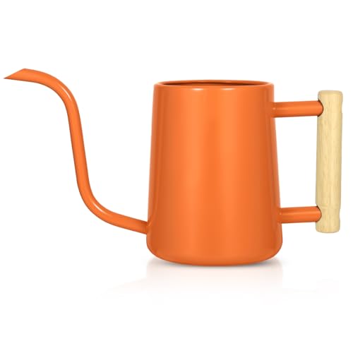 Image of Watering Can Indoor Plants, 35 oz /1000 ml Metal Stainless Steel Watering Can Pot with Long Spout for Indoor House Plants Bonsai Outdoor Garden Flower Decorative (Orange)