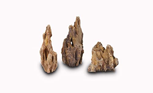 Image of LANDEN Natural Dragon Stones (16lbs, 2~8 inches,7-8pcs) for Aquascaping Terrariums, Paludariums,Vivariums, Reptile and Amphibian Enclosures