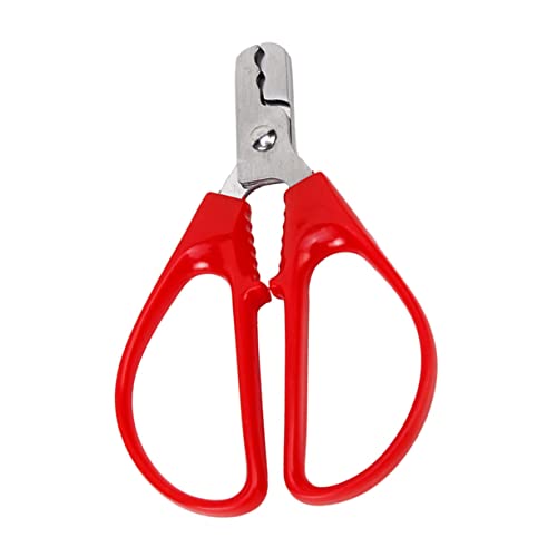 MAGICLULU Und Melonenzange Vielseitiges Werkzeug Zum Einfachen Öffnen Von Erdnüssen Pinienkernen Und Sonnenblumenkernen Für Senioren Und Nussliebhaber