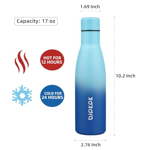 Image of BJPKPK 17oz Skinny Insulated Water Bottle, Stainless Steel Flask