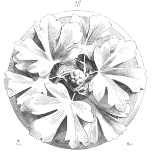 Fundamentals of Reliability Maturity